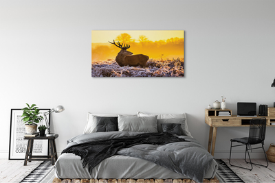Leinwandbilder Deer Sonnenaufgang Wintersonne