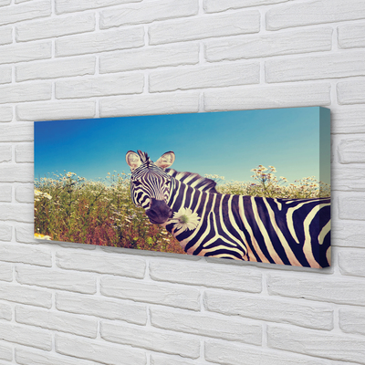 Leinwandbilder Zebra Blumen