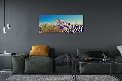 Leinwandbilder Zebra Blumen