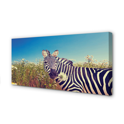 Leinwandbilder Zebra Blumen