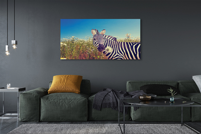 Leinwandbilder Zebra Blumen