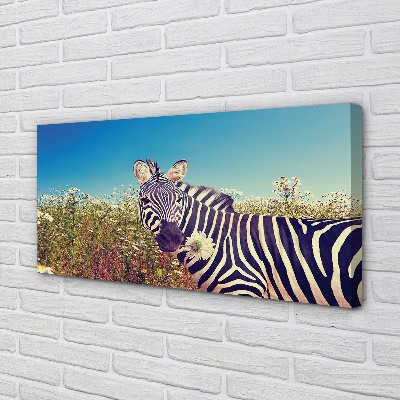 Leinwandbilder Zebra Blumen