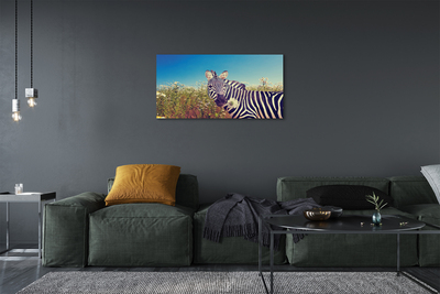 Leinwandbilder Zebra Blumen