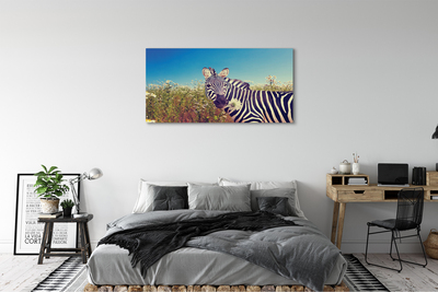 Leinwandbilder Zebra Blumen