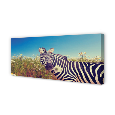 Leinwandbilder Zebra Blumen