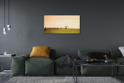 Leinwandbilder Eine Herde von Rehen Sonnenaufgang auf dem Feld