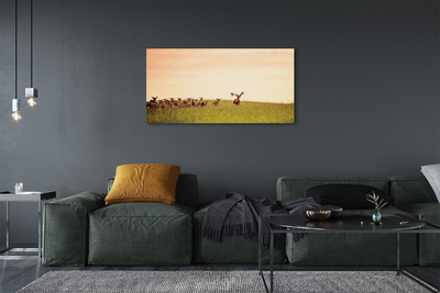 Leinwandbilder Eine Herde von Rehen Sonnenaufgang auf dem Feld