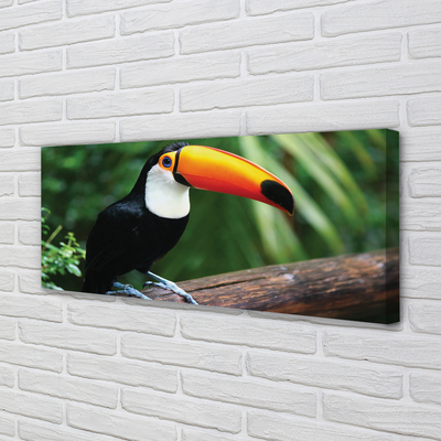 Leinwandbilder Toucan auf einem Ast