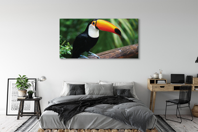 Leinwandbilder Toucan auf einem Ast