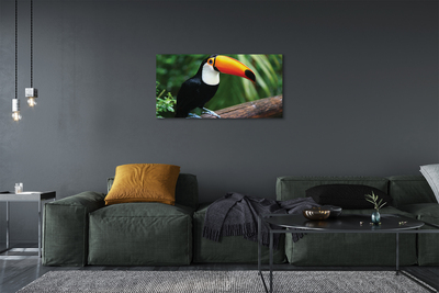 Leinwandbilder Toucan auf einem Ast