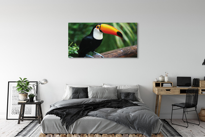 Leinwandbilder Toucan auf einem Ast