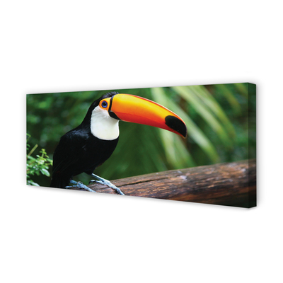 Leinwandbilder Toucan auf einem Ast