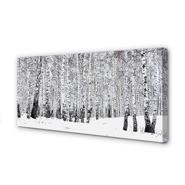 Leinwandbilder Winter Birken