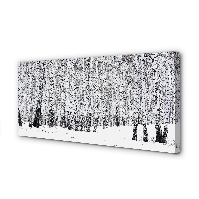 Leinwandbilder Winter Birken
