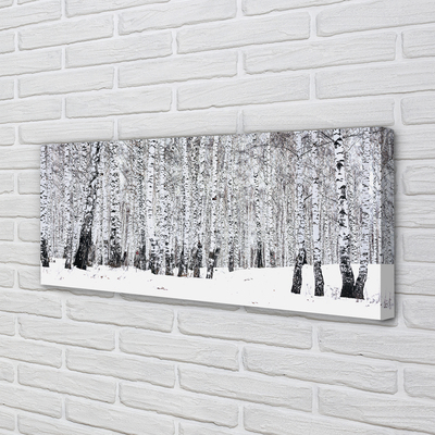 Leinwandbilder Winter Birken