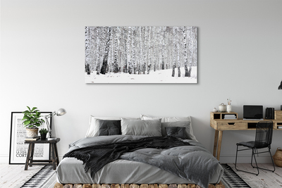 Leinwandbilder Winter Birken