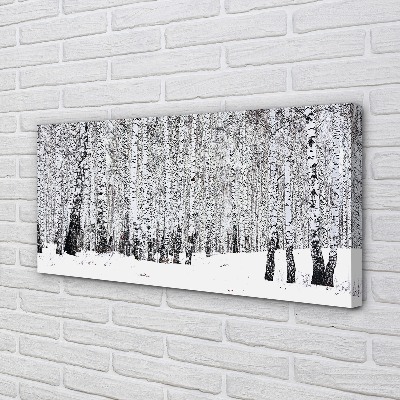 Leinwandbilder Winter Birken