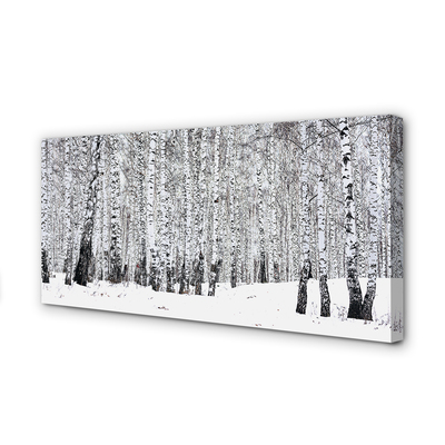Leinwandbilder Winter Birken