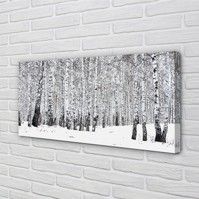 Leinwandbilder Winter Birken
