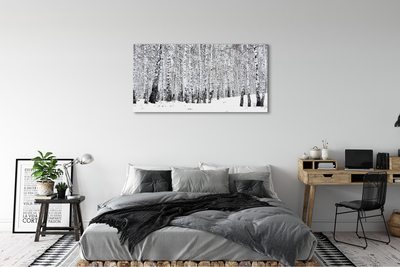 Leinwandbilder Winter Birken