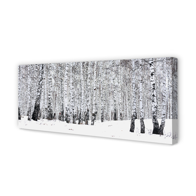 Leinwandbilder Winter Birken