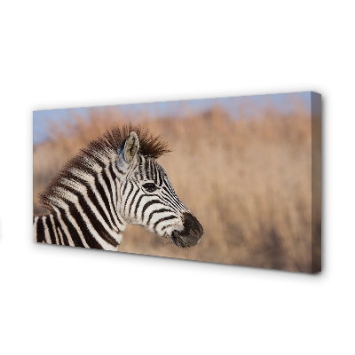 Leinwandbilder Zebra