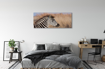 Leinwandbilder Zebra