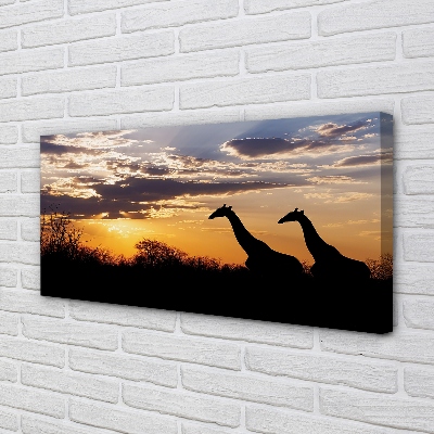 Leinwandbilder Wolken Girafes Welle