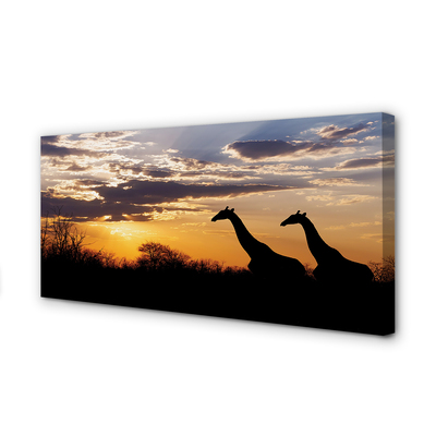 Leinwandbilder Wolken Girafes Welle