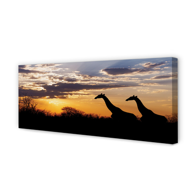 Leinwandbilder Wolken Girafes Welle