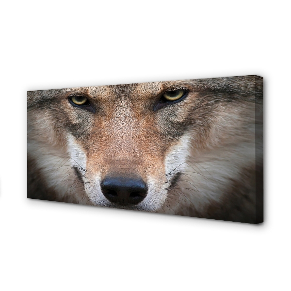 Leinwandbilder Wolf Augen