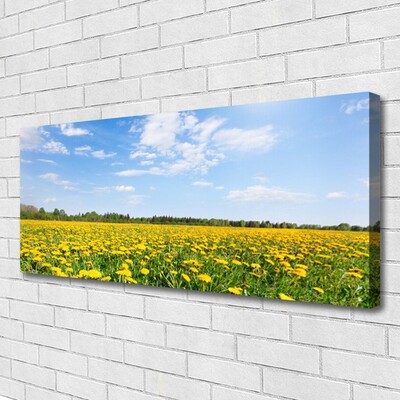 Canvas Kunstdruck Löwenzahn Wiese Landschaft