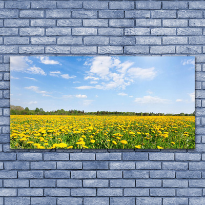 Canvas Kunstdruck Löwenzahn Wiese Landschaft