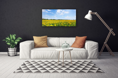 Canvas Kunstdruck Löwenzahn Wiese Landschaft