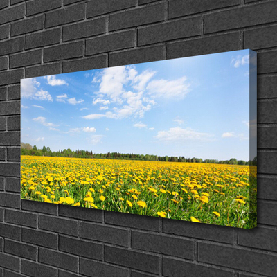 Canvas Kunstdruck Löwenzahn Wiese Landschaft