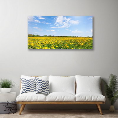 Canvas Kunstdruck Löwenzahn Wiese Landschaft