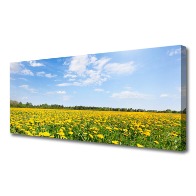 Canvas Kunstdruck Löwenzahn Wiese Landschaft