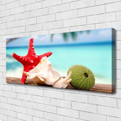 Canvas Kunstdruck Südsee Seestern Muscheln Kunst