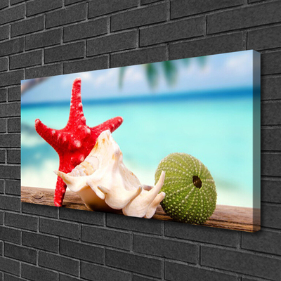 Canvas Kunstdruck Südsee Seestern Muscheln Kunst