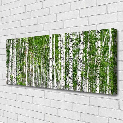 Canvas Kunstdruck Birken Wald Bäume Natur