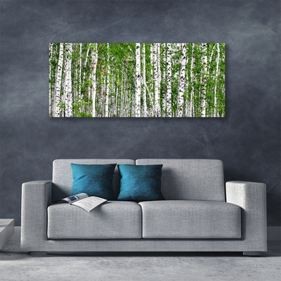 Canvas Kunstdruck Birken Wald Bäume Natur
