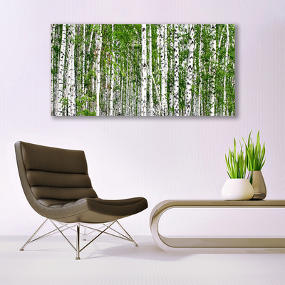 Canvas Kunstdruck Birken Wald Bäume Natur