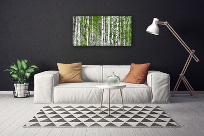 Canvas Kunstdruck Birken Wald Bäume Natur