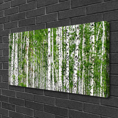 Canvas Kunstdruck Birken Wald Bäume Natur