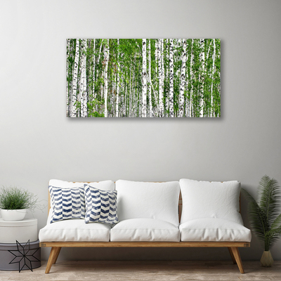 Canvas Kunstdruck Birken Wald Bäume Natur