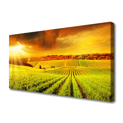 Canvas Kunstdruck Feld Acker Sonnenuntergang Landschaft