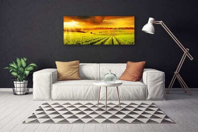 Canvas Kunstdruck Feld Acker Sonnenuntergang Landschaft