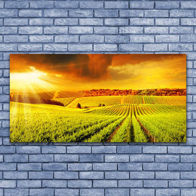 Canvas Kunstdruck Feld Acker Sonnenuntergang Landschaft