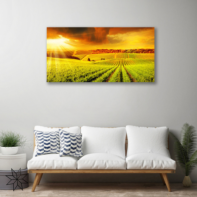 Canvas Kunstdruck Feld Acker Sonnenuntergang Landschaft