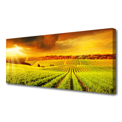 Canvas Kunstdruck Feld Acker Sonnenuntergang Landschaft